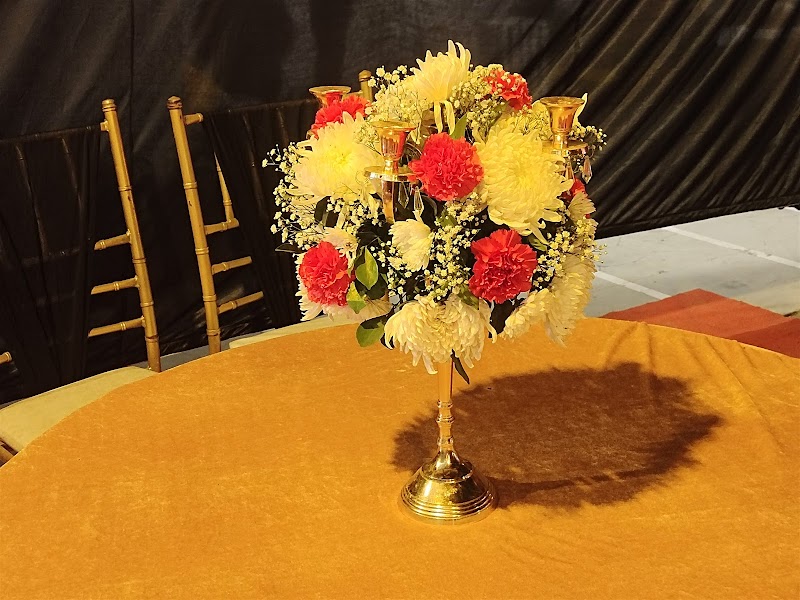 NEW JATTANA TENT AND CATERING BEST TENT AND CATERERS