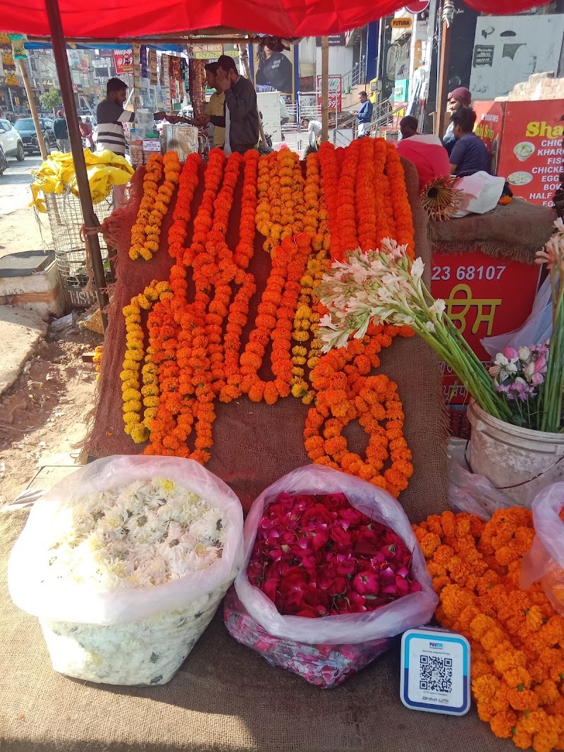 Kuldeep flower house