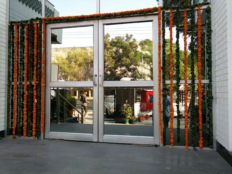 Fancy Flower decoration